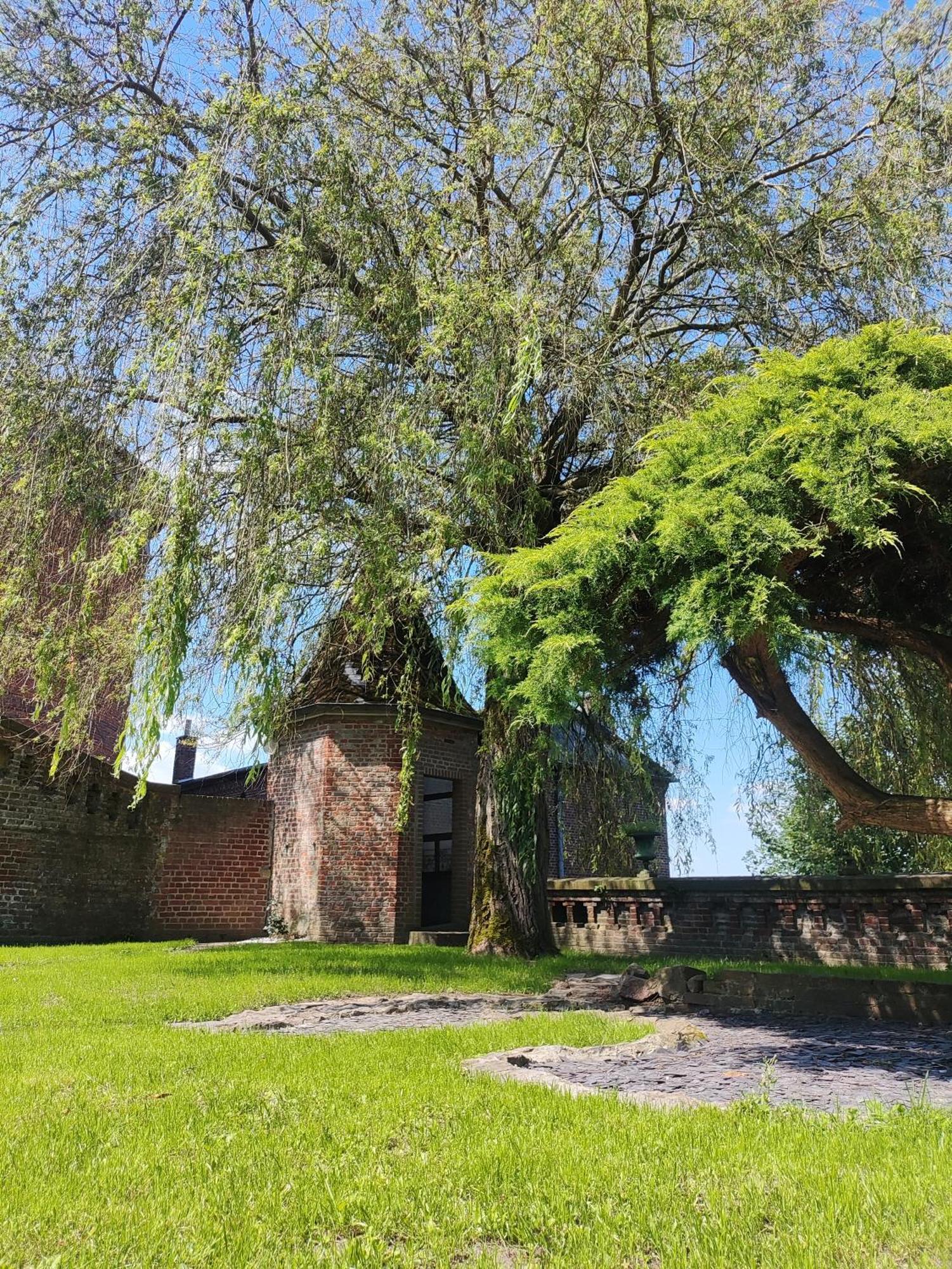 Le Relais Napoleon Bed & Breakfast Avesnes-sur-Helpe Exterior photo